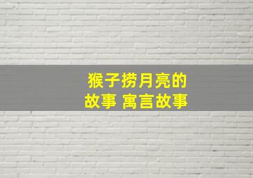 猴子捞月亮的故事 寓言故事